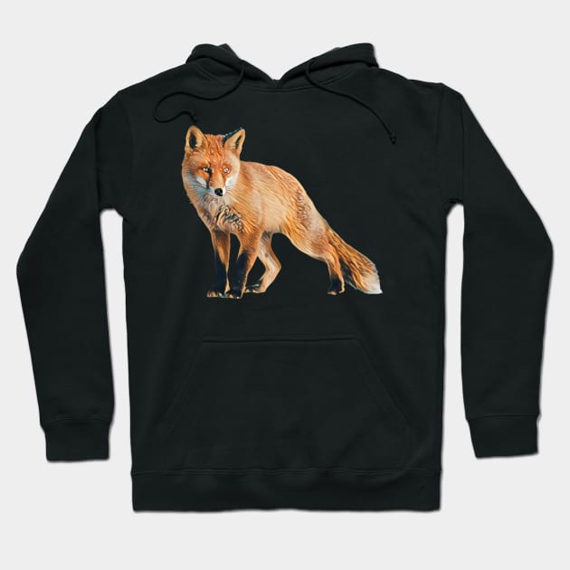 Fox - Woodland Themed Kids Room, Funny Gifts For Forester, Cute Animals Hoodie by Shirtsmania